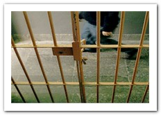 Estabelecimentos Prisionais